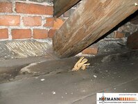 Bild 3 Bau-Sachverständigen-Ing.-büro Hofmann in Dresden