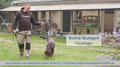 Bild 7 Tierarztpraxis Langebrück - Dr. med. vet. Mathias Ehrlich in Dresden