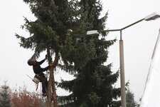 Bild 6 Baumdienst Harzer in Dresden