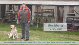 Bild 6 Tierarztpraxis Langebrück - Dr. med. vet. Mathias Ehrlich in Dresden