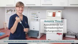 Bild 4 Tierarztpraxis Langebrück - Dr. med. vet. Mathias Ehrlich in Dresden