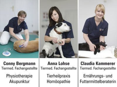 Bild 3 Tierarztpraxis Langebrück - Dr. med. vet. Mathias Ehrlich in Dresden