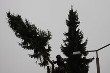 Bild 7 Baumdienst Harzer in Dresden