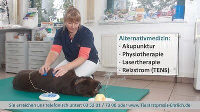 Bild 9 Tierarztpraxis Langebrück - Dr. med. vet. Mathias Ehrlich in Dresden
