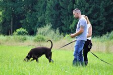 Bild 2 A. Klarl UG (haftungsbeschränkt) in Rosenheim