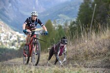 Bild 2 Stamina Performance Academy Nikolai Kirner und Till Enzner GbR in München