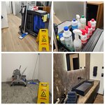 Bild 7 Flock in Ingolstadt