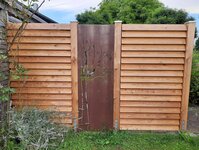 Bild 3 Krammer in Petting