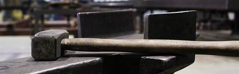 Bild 4 Aschenwald in Raubling