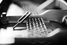 Bild 1 Große in München