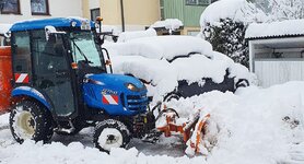 Bild 1 Djogo in Karlsfeld