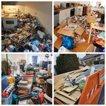 Bild 5 Flock in Ingolstadt