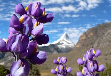 Bild 3 Head in Wackersberg