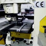 Bild 3 Aschenwald in Raubling