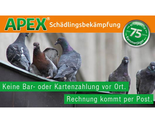 Kundenfoto 9 APEX Schädlingsbekämpfung
