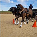 Bild 1 WEISSL GmbH in Engelsberg