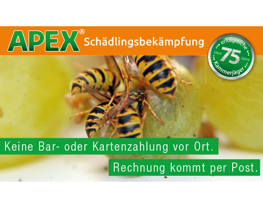 Kundenfoto 10 APEX Schädlingsbekämpfung