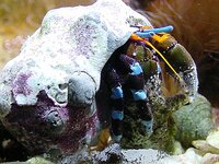 Bild 10 Leithold in Ilmenau