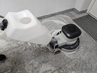 Bild 3 Flock in Ingolstadt