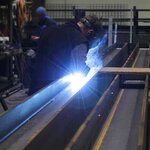 Bild 1 Aschenwald in Raubling