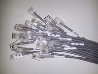 Bild 1 Svelac in München