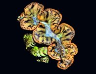 Bild 3 Leithold in Ilmenau