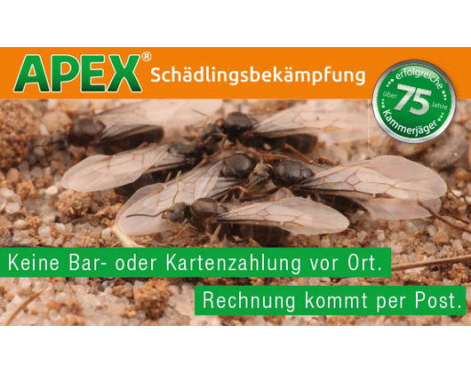 Kundenfoto 1 APEX Schädlingsbekämpfung
