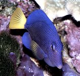 Bild 9 Leithold in Ilmenau