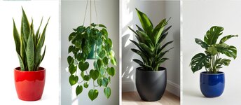 Bild 2 Mitzkatis in München