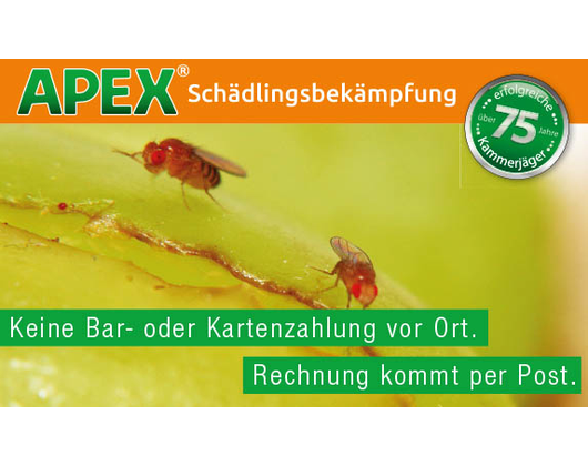 Kundenfoto 2 APEX Schädlingsbekämpfung