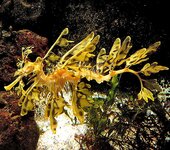 Bild 8 Leithold in Ilmenau