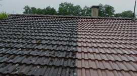 Bild 3 Laubinger in München