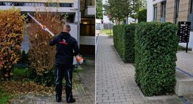 Bild 7 Djogo in Karlsfeld