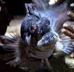 Bild 7 Leithold in Ilmenau