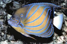 Bild 6 Leithold in Ilmenau