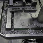 Bild 7 Aschenwald in Raubling