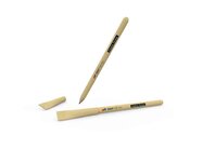 Bild 10 Kuttenberger in Ingolstadt