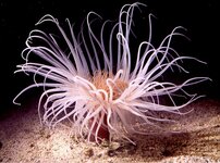 Bild 5 Leithold in Ilmenau