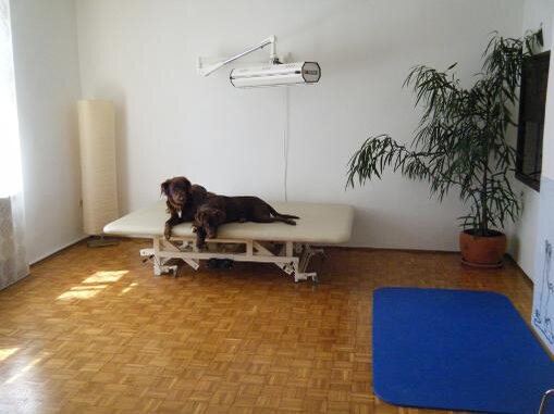 Bild6 Bild6