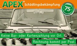 Bild 7 Apex Schädlingsbekämpfung in Augsburg