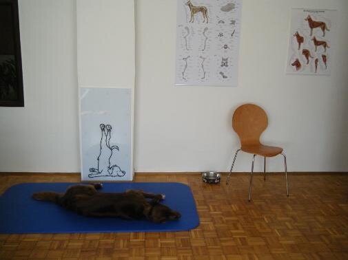 Bild4 Bild4