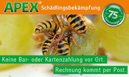 Bild 10 Apex Schädlingsbekämpfung in Kempten