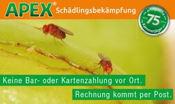 Bild 2 Apex Schädlingsbekämpfung in Kempten
