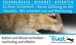 Bild 6 Fürst Schädlingsbekämpfung in Straubing