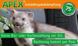 Bild 5 Apex Schädlingsbekämpfung in Bobingen