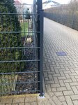 Bild 7 Wilck in Berlin