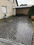 Bild 1 Rose in Krefeld
