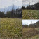 Bild 4 Großmann in Auerbach/Vogtl.