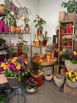 Bild 7 Schöner Schenken Inh. Susanne Lother - Blumen und Geschenkartikel in Nürnberg
