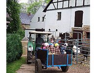 Bild 4 Lama-Ponyhof Inh. Schittko in Langenbernsdorf